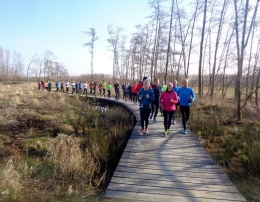 Freundschaftslauf 2016-6