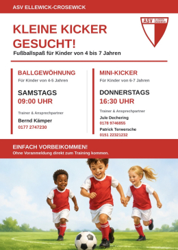 Minikicker