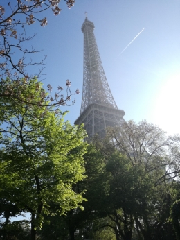 Marathon Paris 2017-2